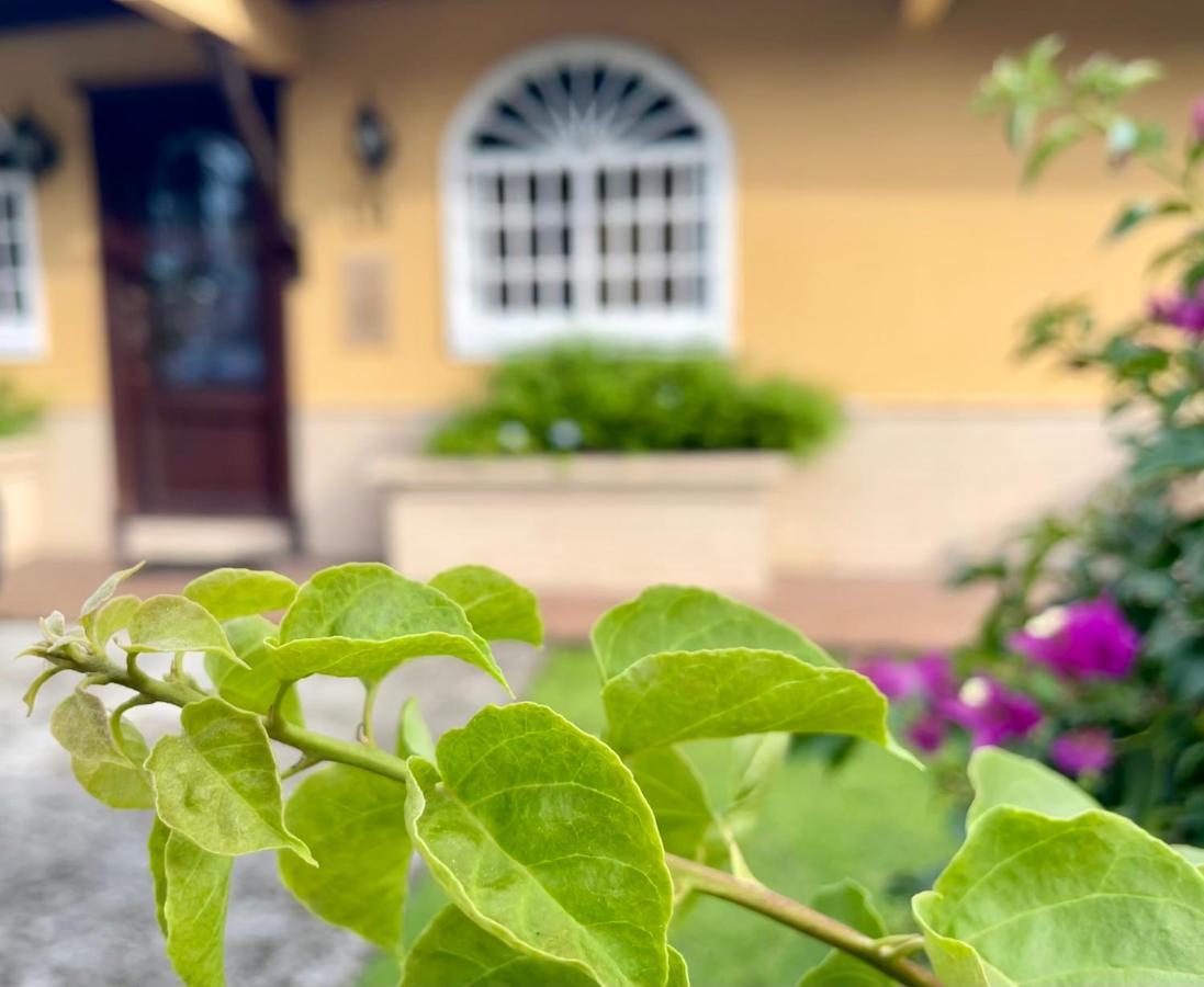 Sofia'S B&B Hostal Boutique パナマ・シティー エクステリア 写真
